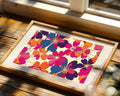 Pop Art Composicion Vibrante 258