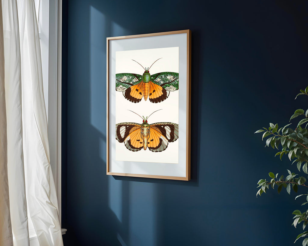 Mariposas Nocturnas Vintage | Cuadro decorativo de Monkey Canvas