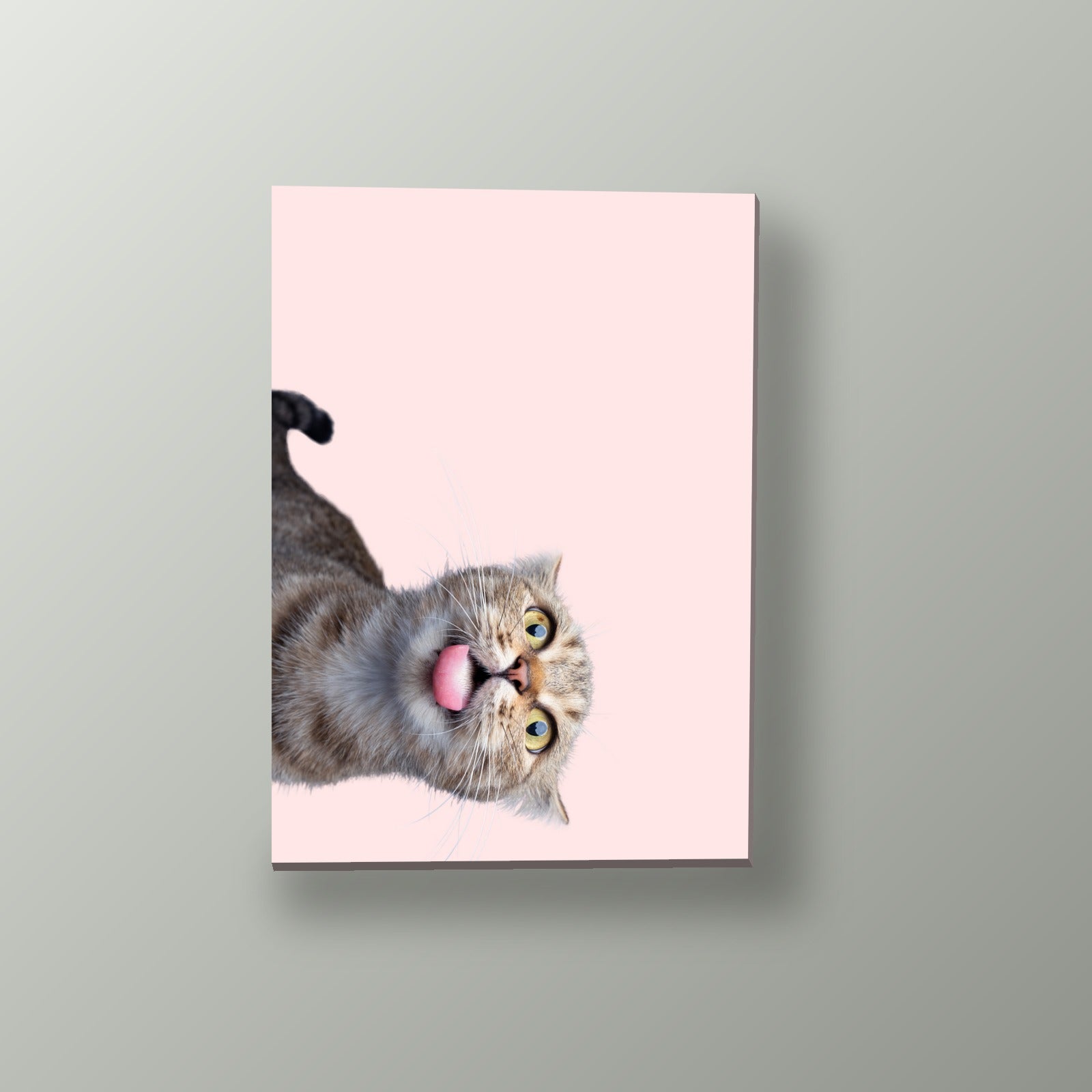 Gato Curioso Boca Abajo | Cuadro decorativo de Monkey Canvas