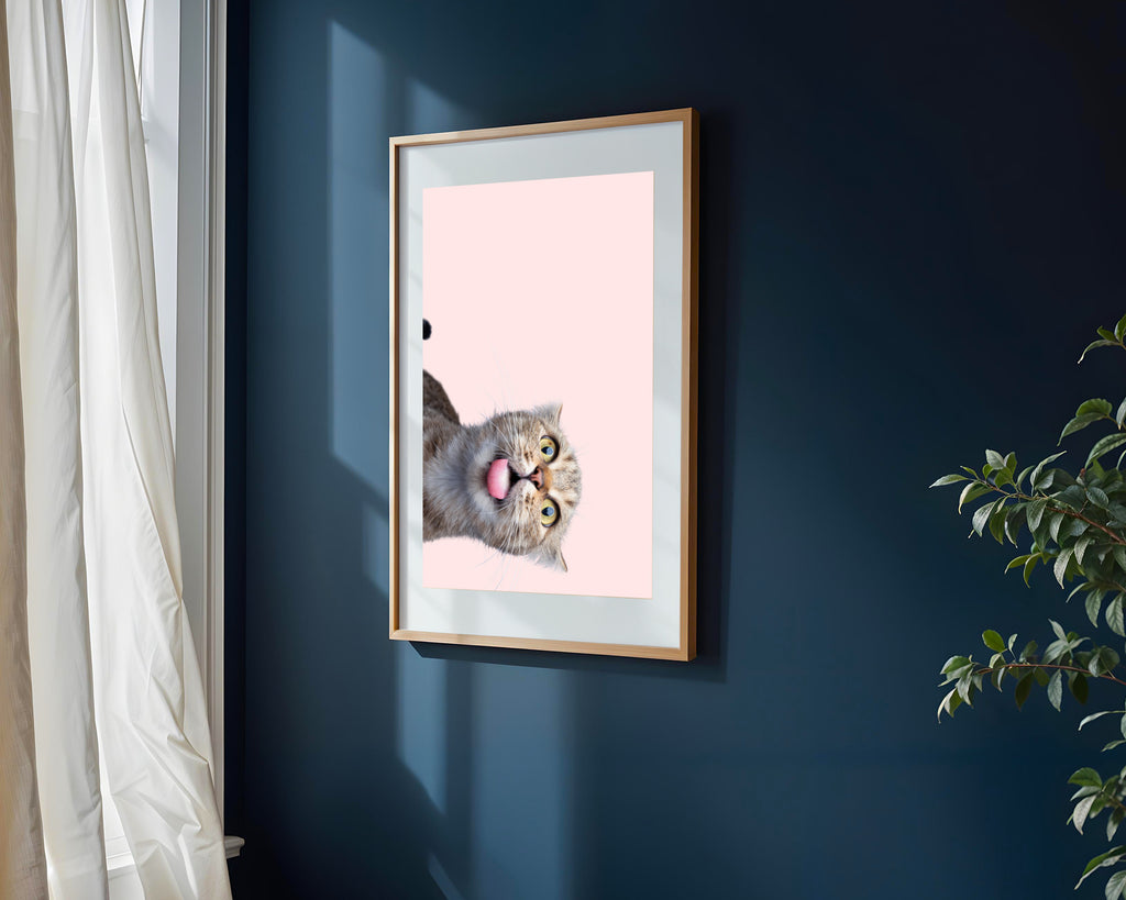 Gato Curioso Boca Abajo | Cuadro decorativo de Monkey Canvas