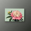 Peonía Rosa Ilustrada | Cuadro decorativo de Monkey Canvas