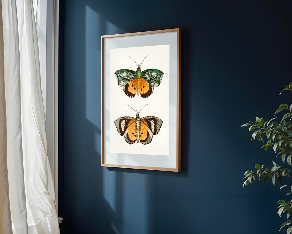 Mariposas Nocturnas Vintage | Cuadro decorativo de Monkey Canvas