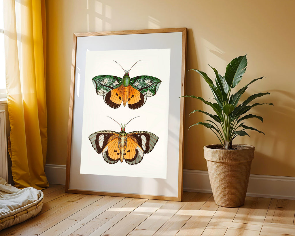 Mariposas Nocturnas Vintage | Cuadro decorativo de Monkey Canvas