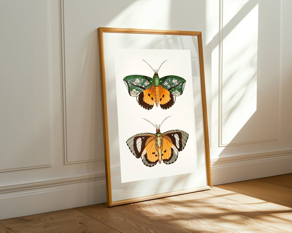 Mariposas Nocturnas Vintage | Cuadro decorativo de Monkey Canvas