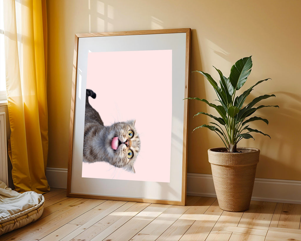 Gato Curioso Boca Abajo | Cuadro decorativo de Monkey Canvas