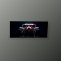 Alfa Romeo Tricolor | Cuadro decorativo de Monkey Canvas