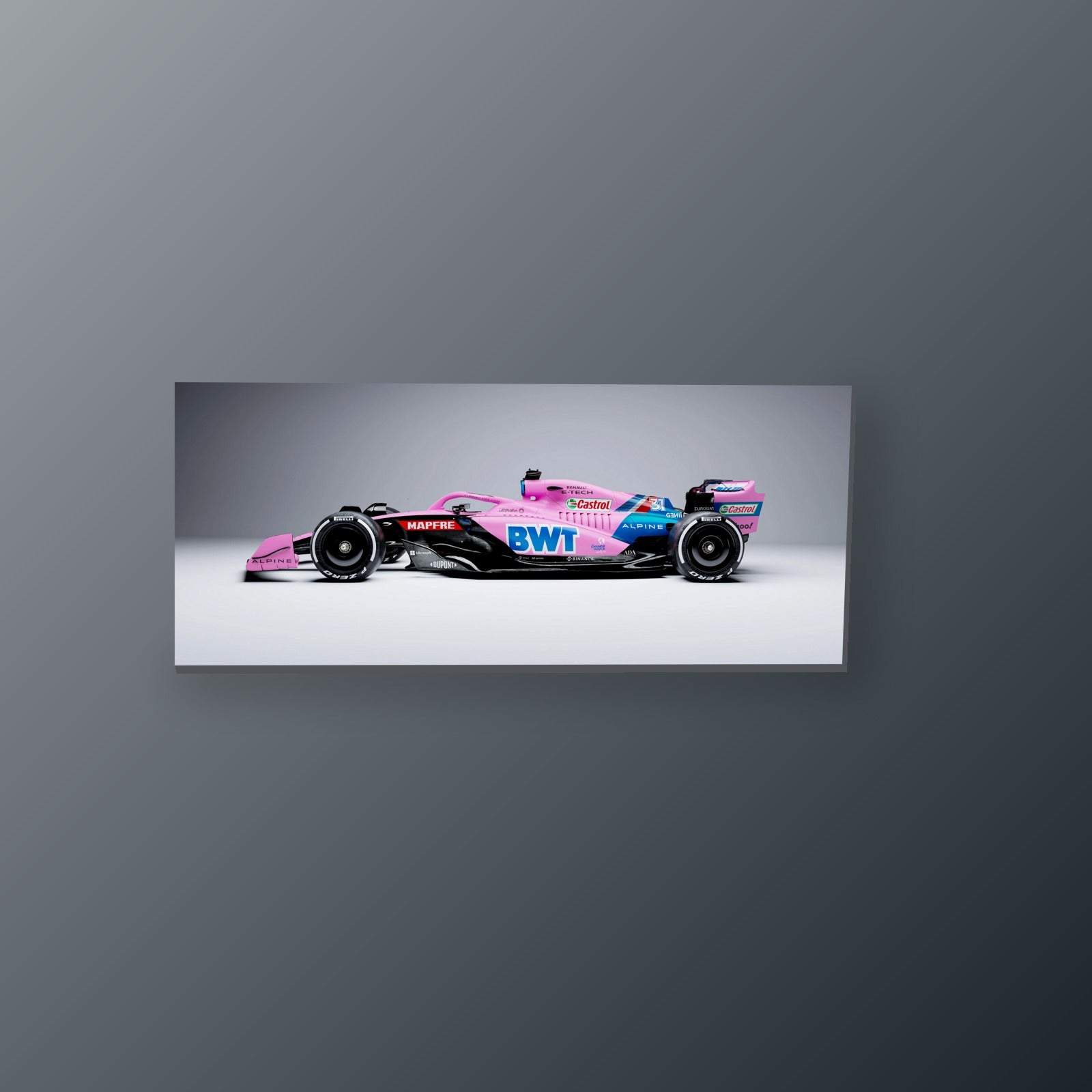 Alpine Mapfre Rosa | Cuadro decorativo de Monkey Canvas