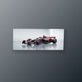 Alfa Romeo Stake | Cuadro decorativo de Monkey Canvas
