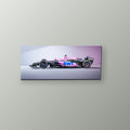 Perfil Alpine Rosa | Cuadro decorativo de Monkey Canvas