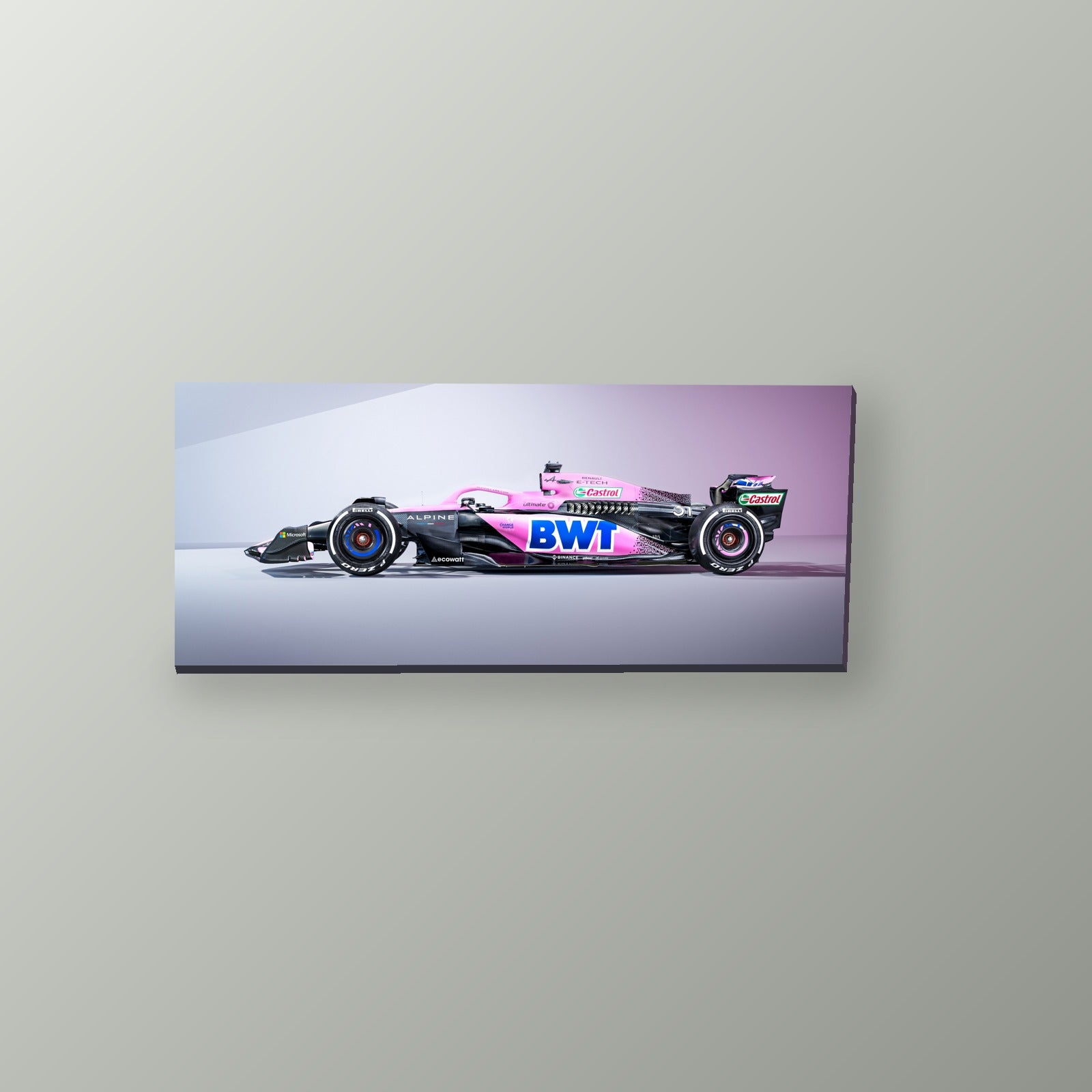 Perfil Alpine Rosa | Cuadro decorativo de Monkey Canvas