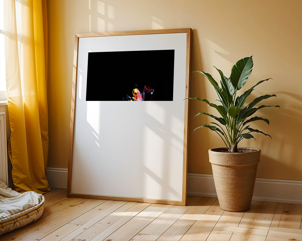 Red Bull en la Sombra | Cuadro decorativo de Monkey Canvas