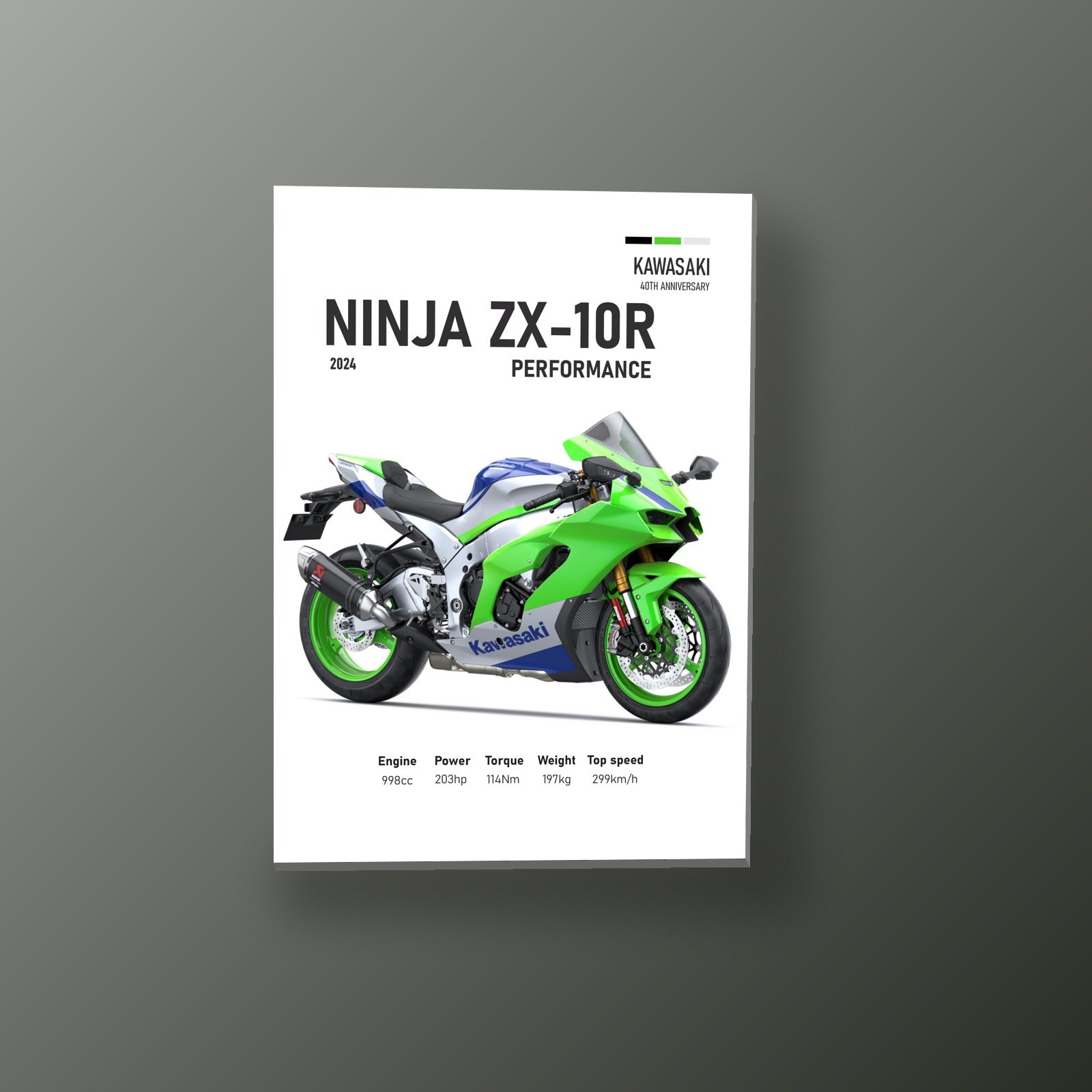 Ninja ZX-10R Aniversario | Cuadro decorativo de Monkey Canvas