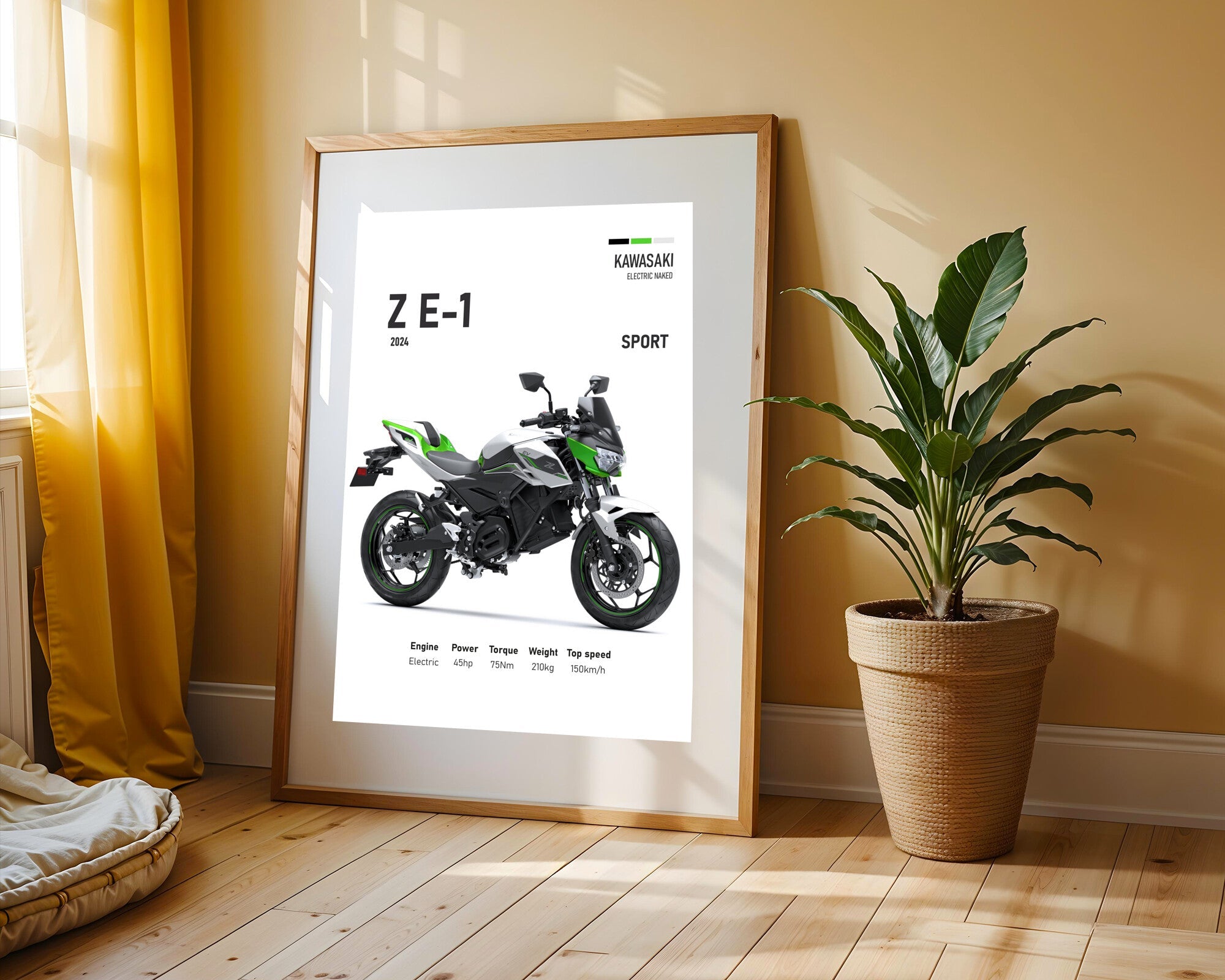 Z E-1 Naked Electrica | Cuadro decorativo de Monkey Canvas