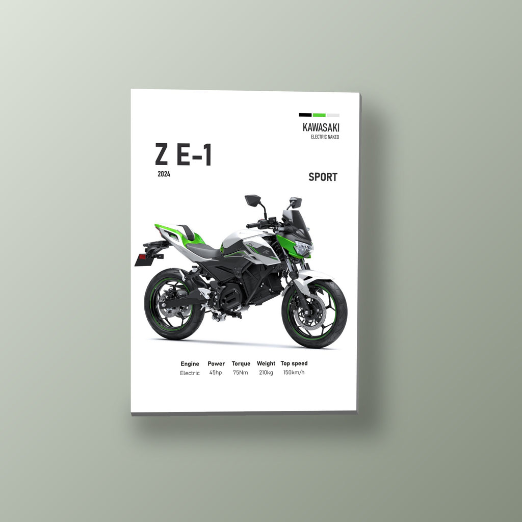 Z E-1 Naked Electrica | Cuadro decorativo de Monkey Canvas