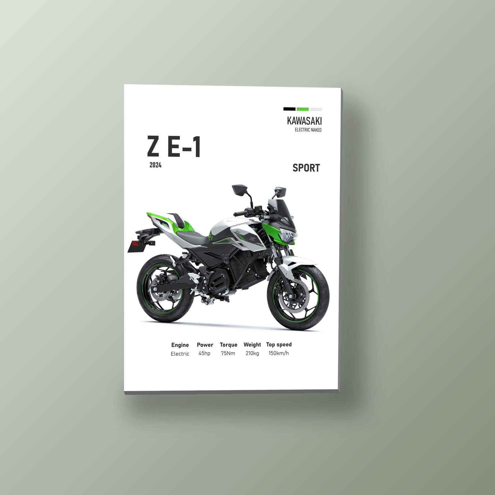Z E-1 Naked Electrica | Cuadro decorativo de Monkey Canvas