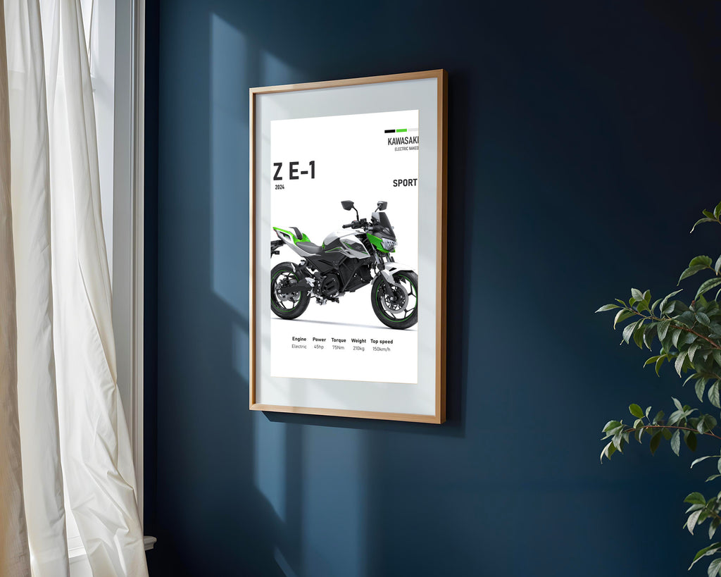 Z E-1 Naked Electrica | Cuadro decorativo de Monkey Canvas