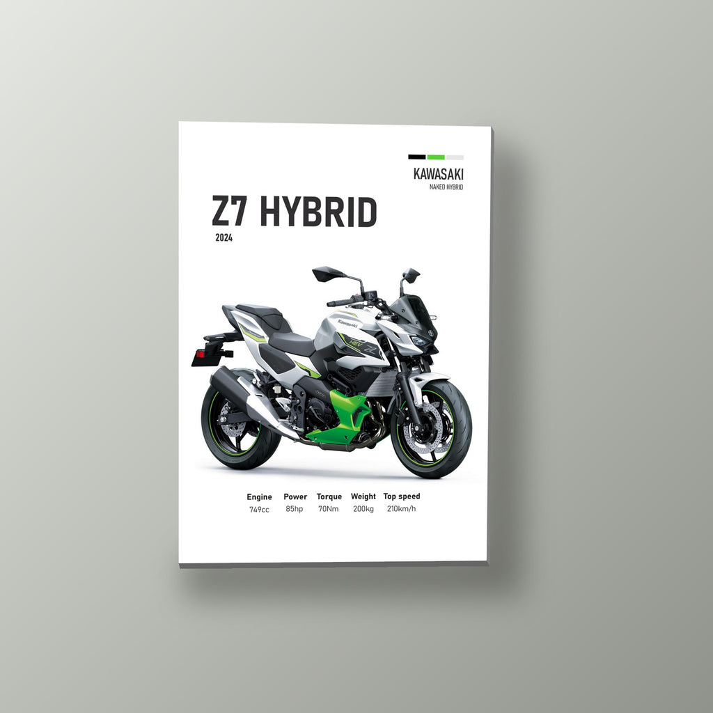 Z7 Hybrid Blanca Hibrida | Cuadro decorativo de Monkey Canvas