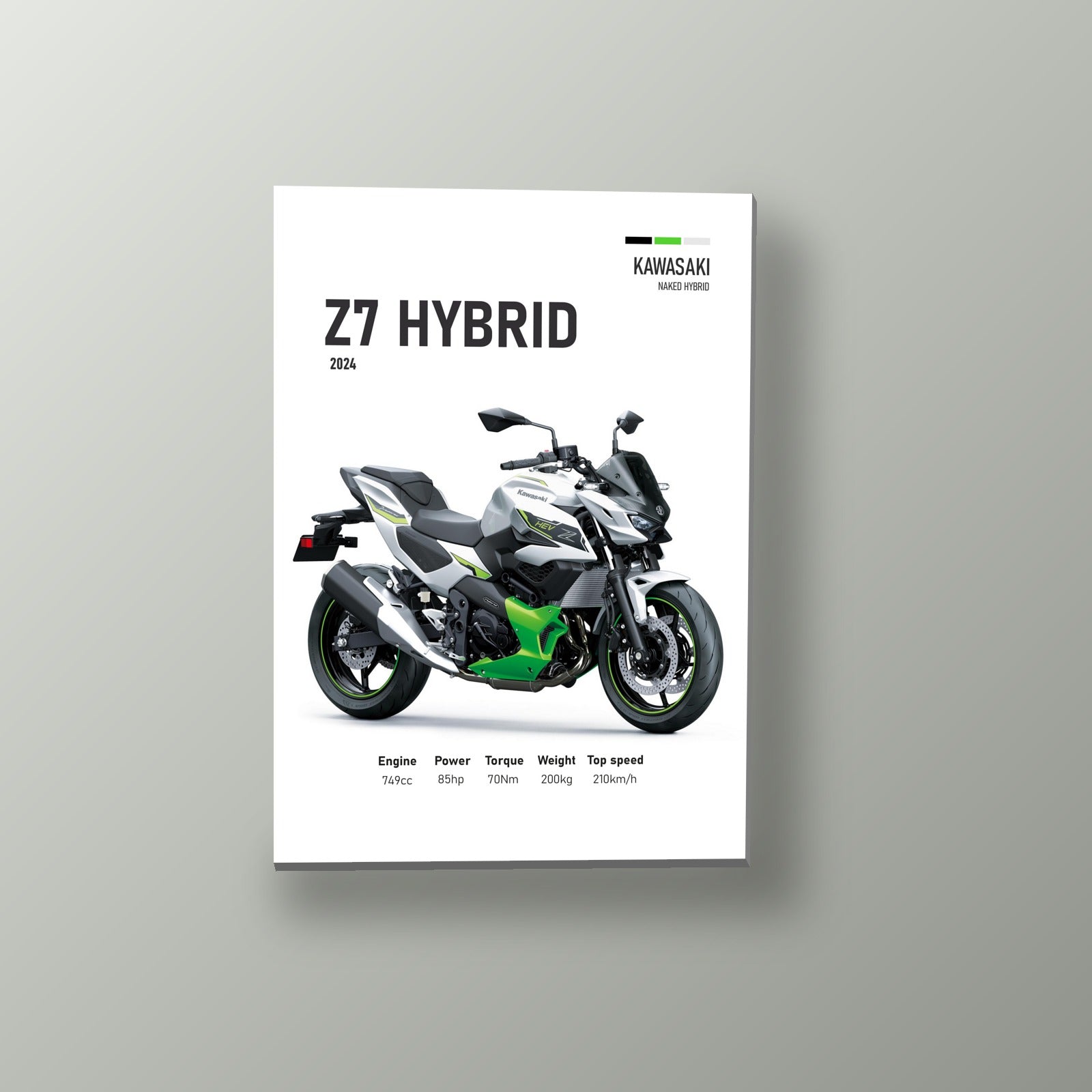 Z7 Hybrid Blanca Hibrida | Cuadro decorativo de Monkey Canvas