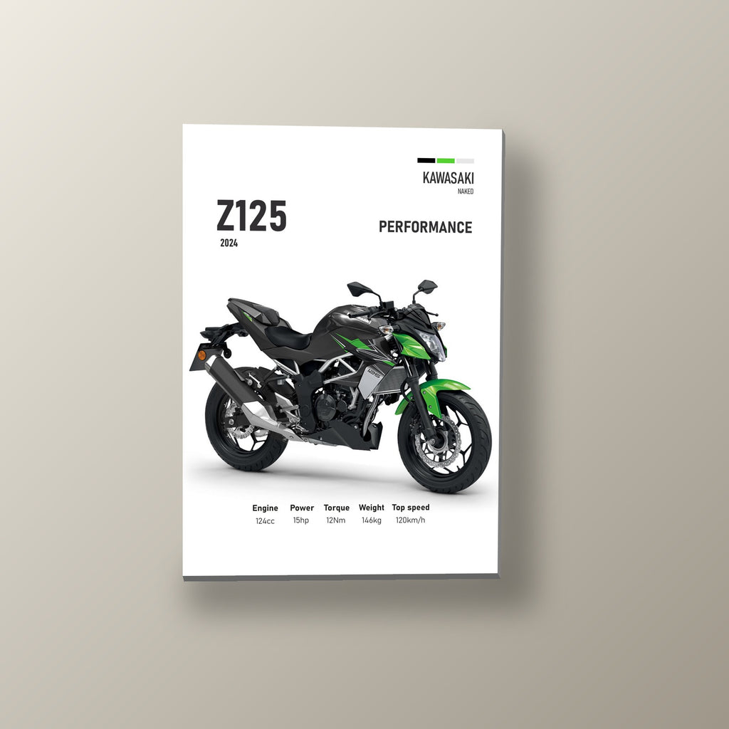 Z125 Performance Urbana | Cuadro decorativo de Monkey Canvas