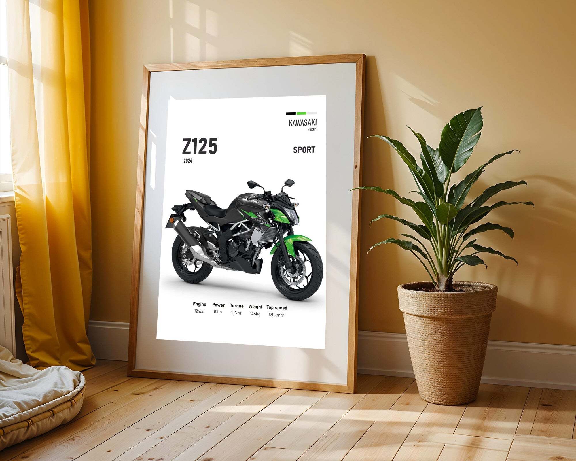 Z125 Sport Callejera | Cuadro decorativo de Monkey Canvas