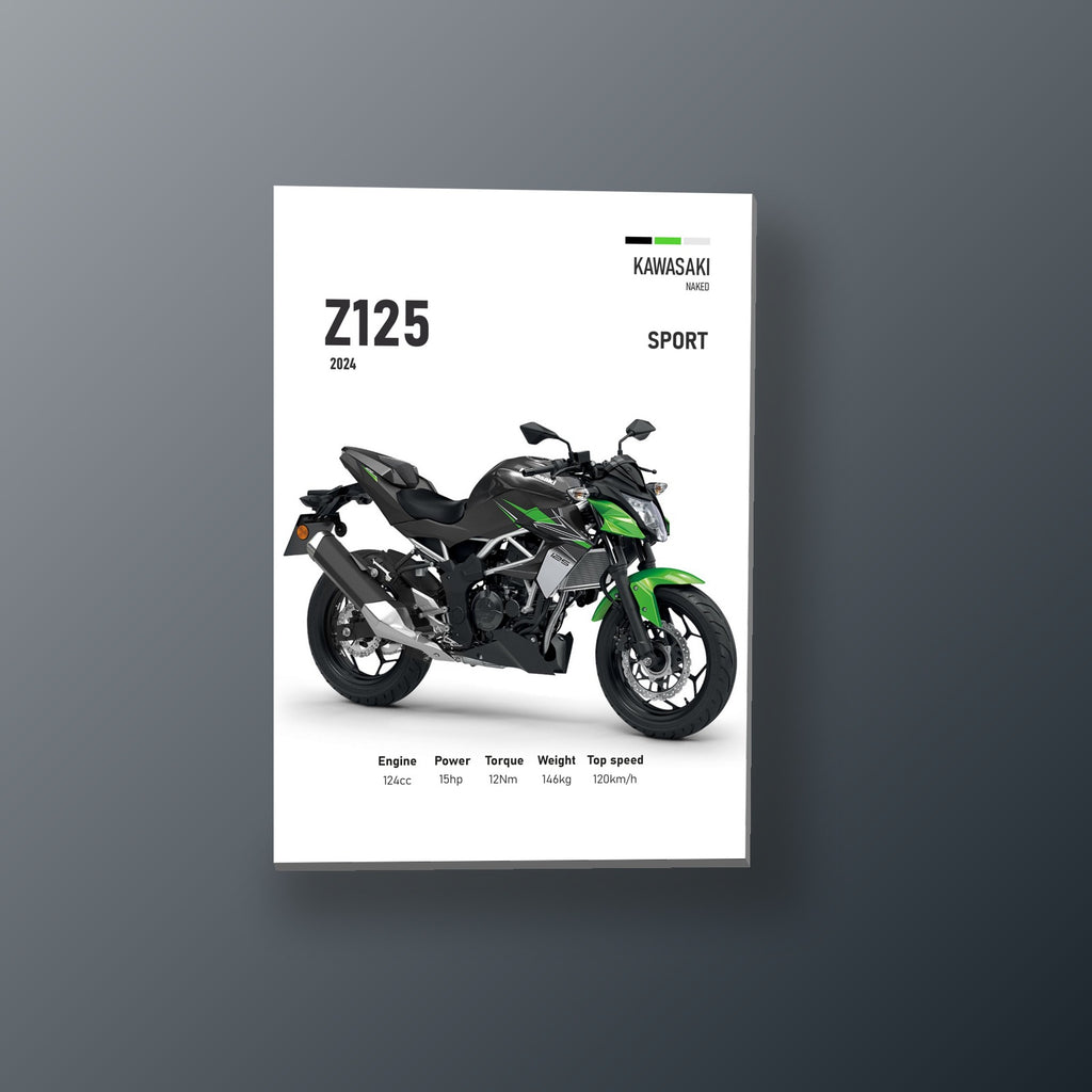 Z125 Sport Callejera | Cuadro decorativo de Monkey Canvas