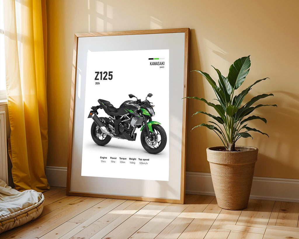 Z125 Naked Compacta | Cuadro decorativo de Monkey Canvas