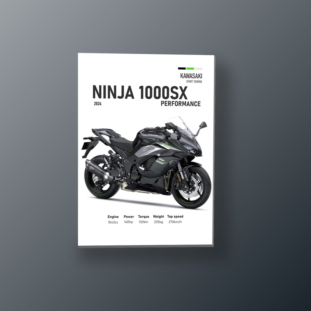 Ninja 1000SX Plateada | Cuadro decorativo de Monkey Canvas