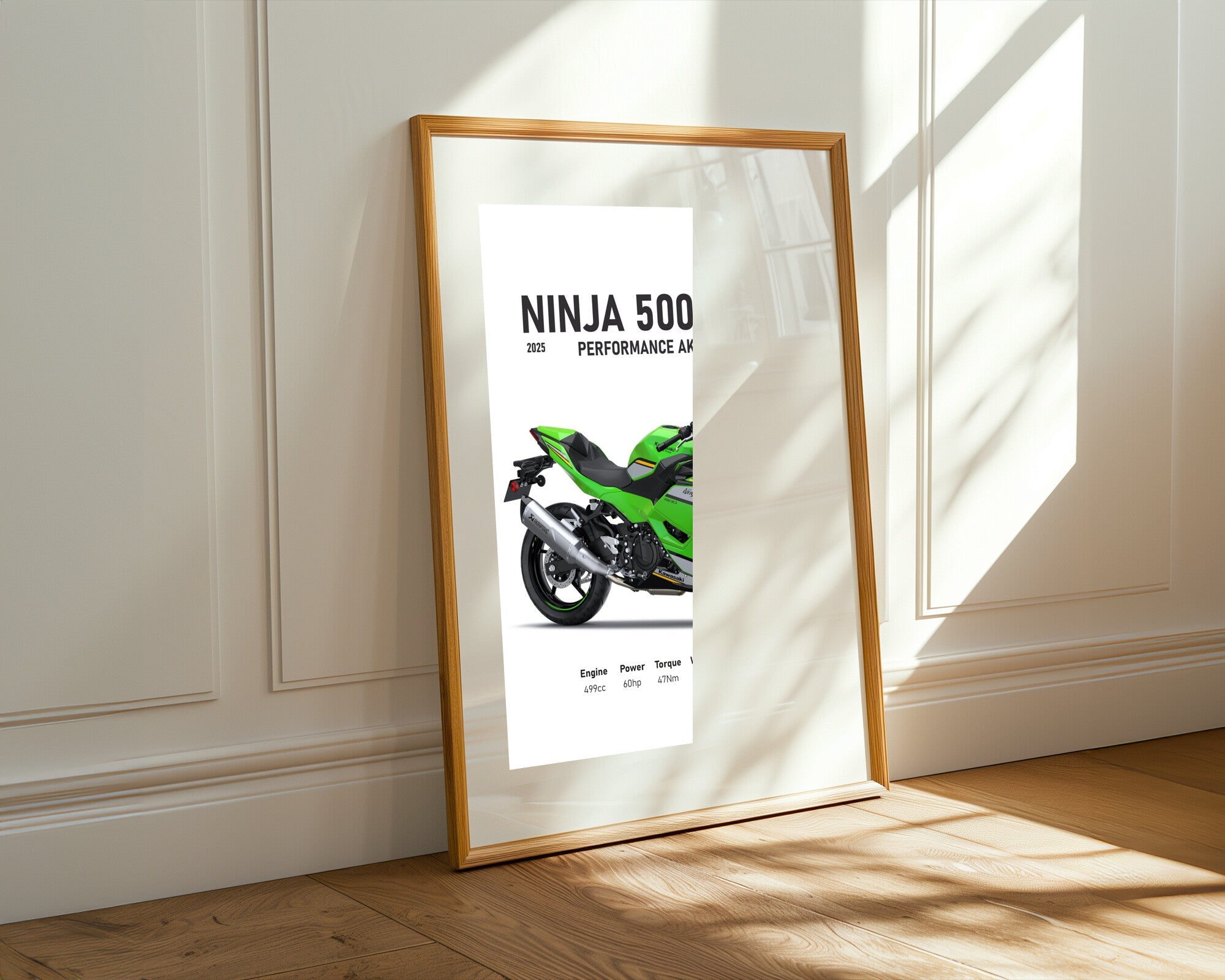 Ninja 500 SE Akrapovic | Cuadro decorativo de Monkey Canvas