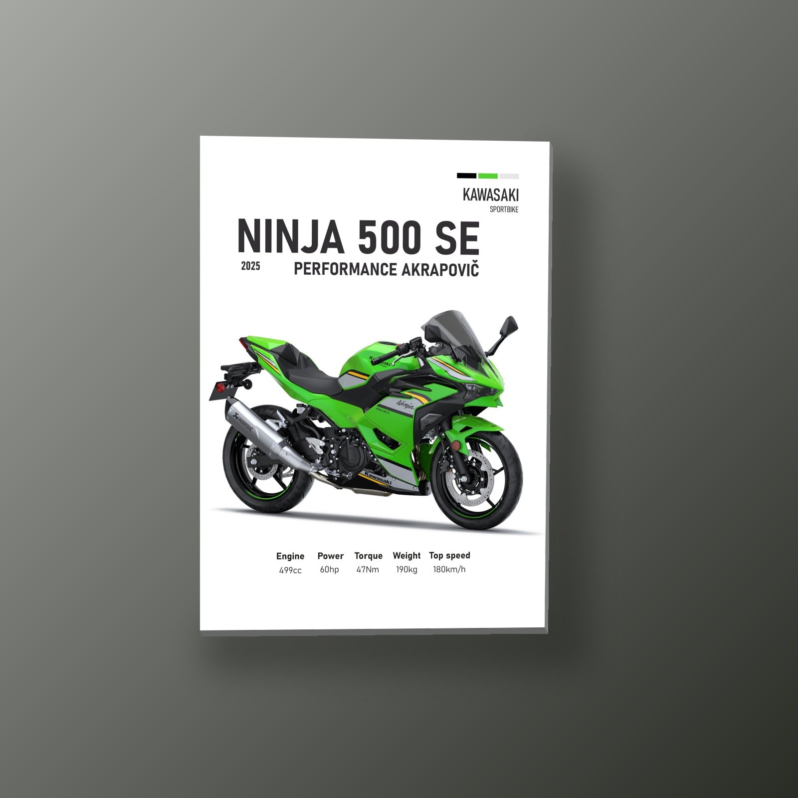 Ninja 500 SE Akrapovic | Cuadro decorativo de Monkey Canvas