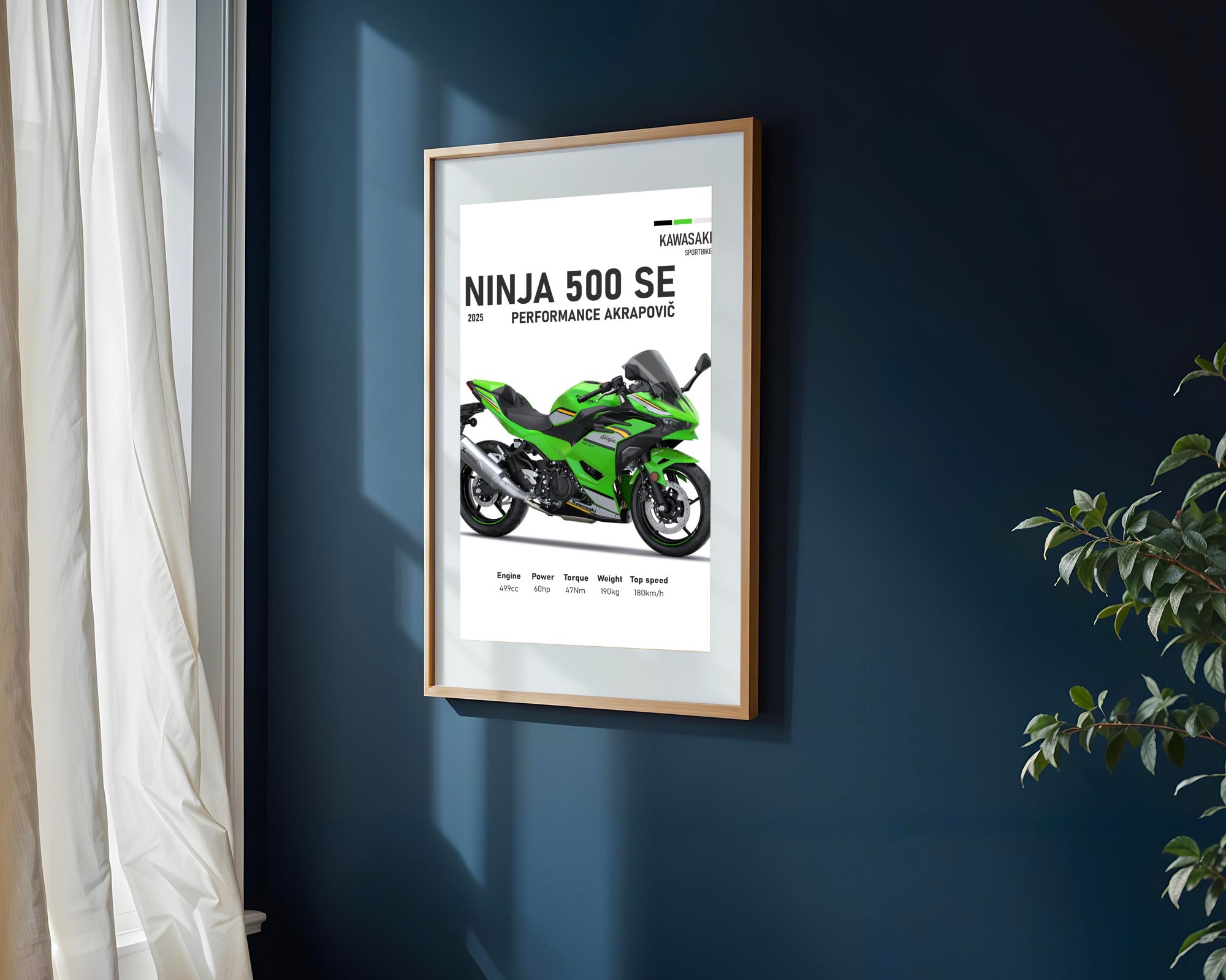 Ninja 500 SE Akrapovic | Cuadro decorativo de Monkey Canvas