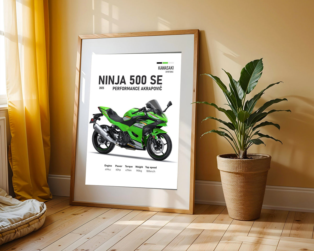 Ninja 500 SE Akrapovic