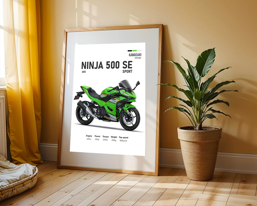 Ninja 500 SE Sport Verde | Cuadro decorativo de Monkey Canvas