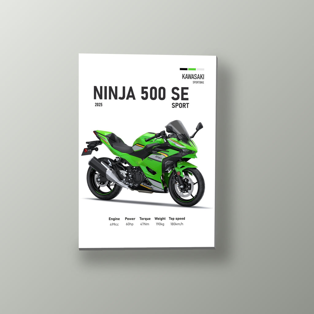 Ninja 500 SE Sport Verde | Cuadro decorativo de Monkey Canvas