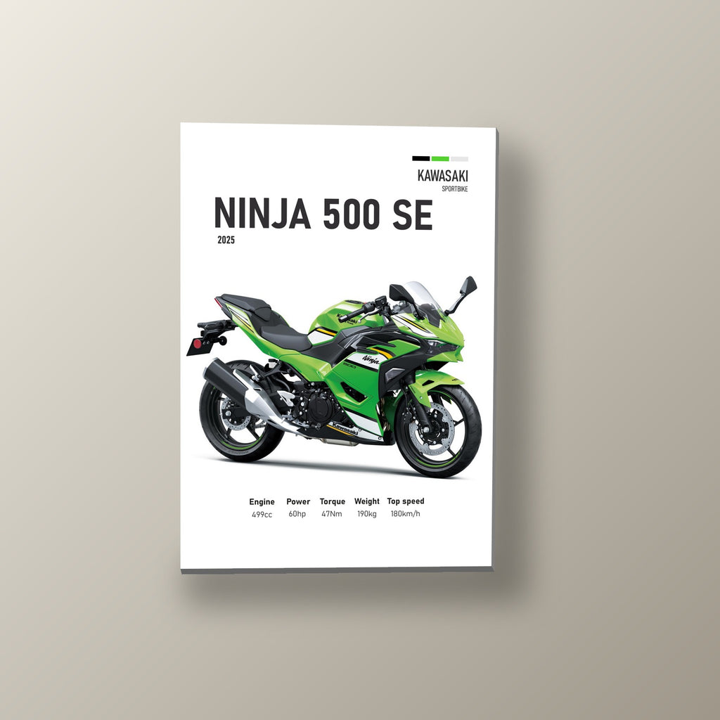 Ninja 500 SE Racing Team | Cuadro decorativo de Monkey Canvas