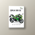 Ninja 500 SE Racing Team | Cuadro decorativo de Monkey Canvas
