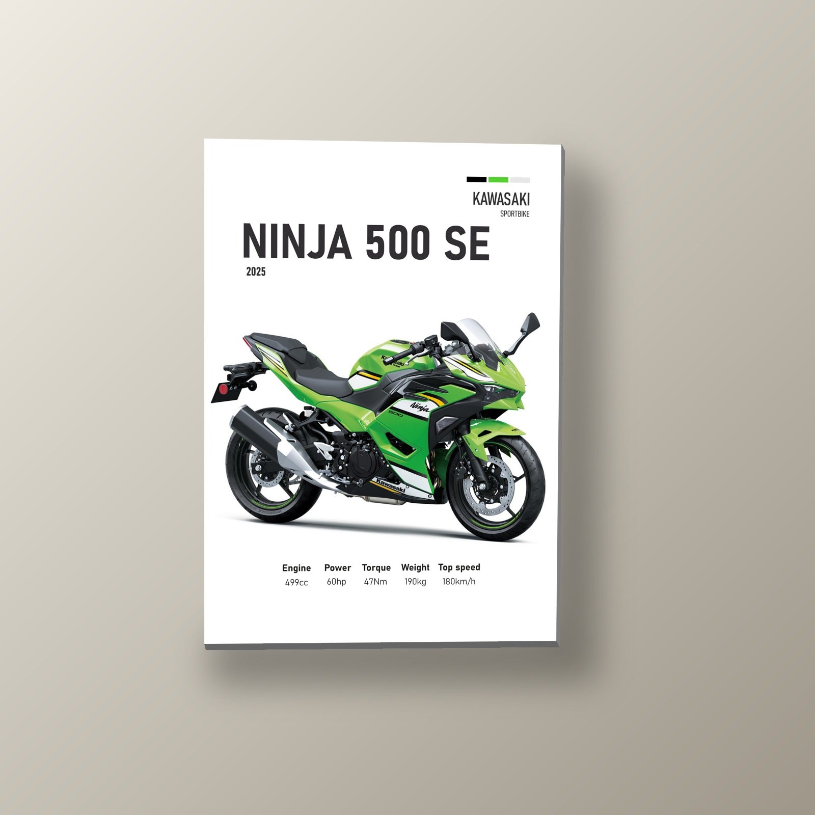 Ninja 500 SE Racing Team | Cuadro decorativo de Monkey Canvas