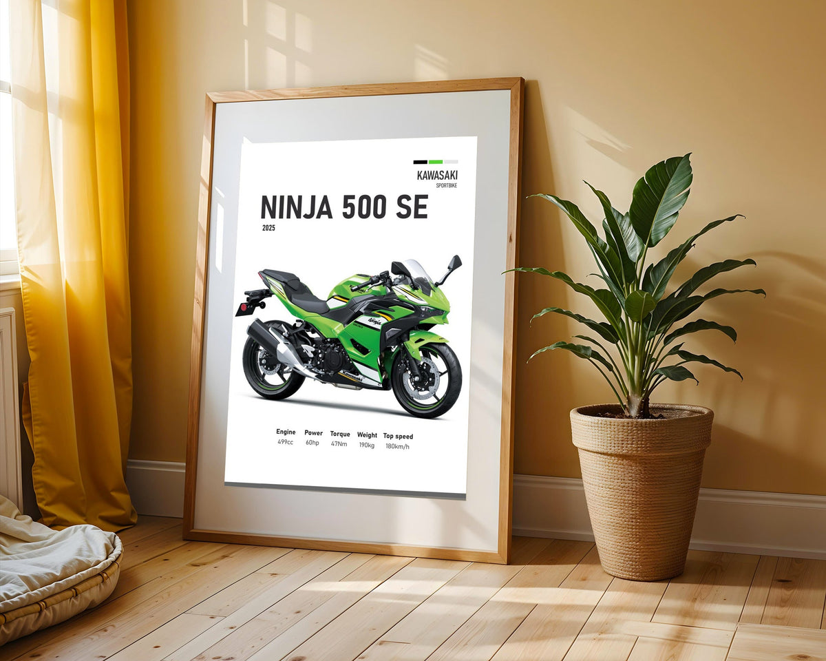 Ninja 500 SE Racing Team