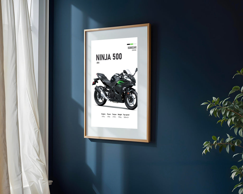 Ninja 500 Negra Elegante | Cuadro decorativo de Monkey Canvas