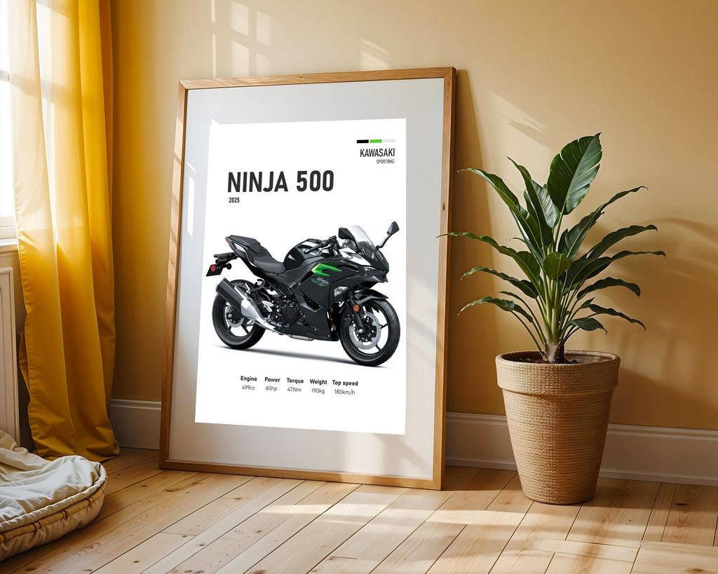 Ninja 500 Negra Elegante | Cuadro decorativo de Monkey Canvas