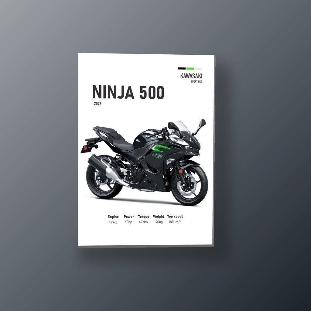 Ninja 500 Negra Elegante | Cuadro decorativo de Monkey Canvas
