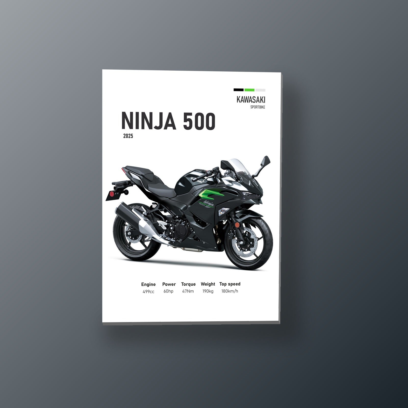 Ninja 500 Negra Elegante | Cuadro decorativo de Monkey Canvas