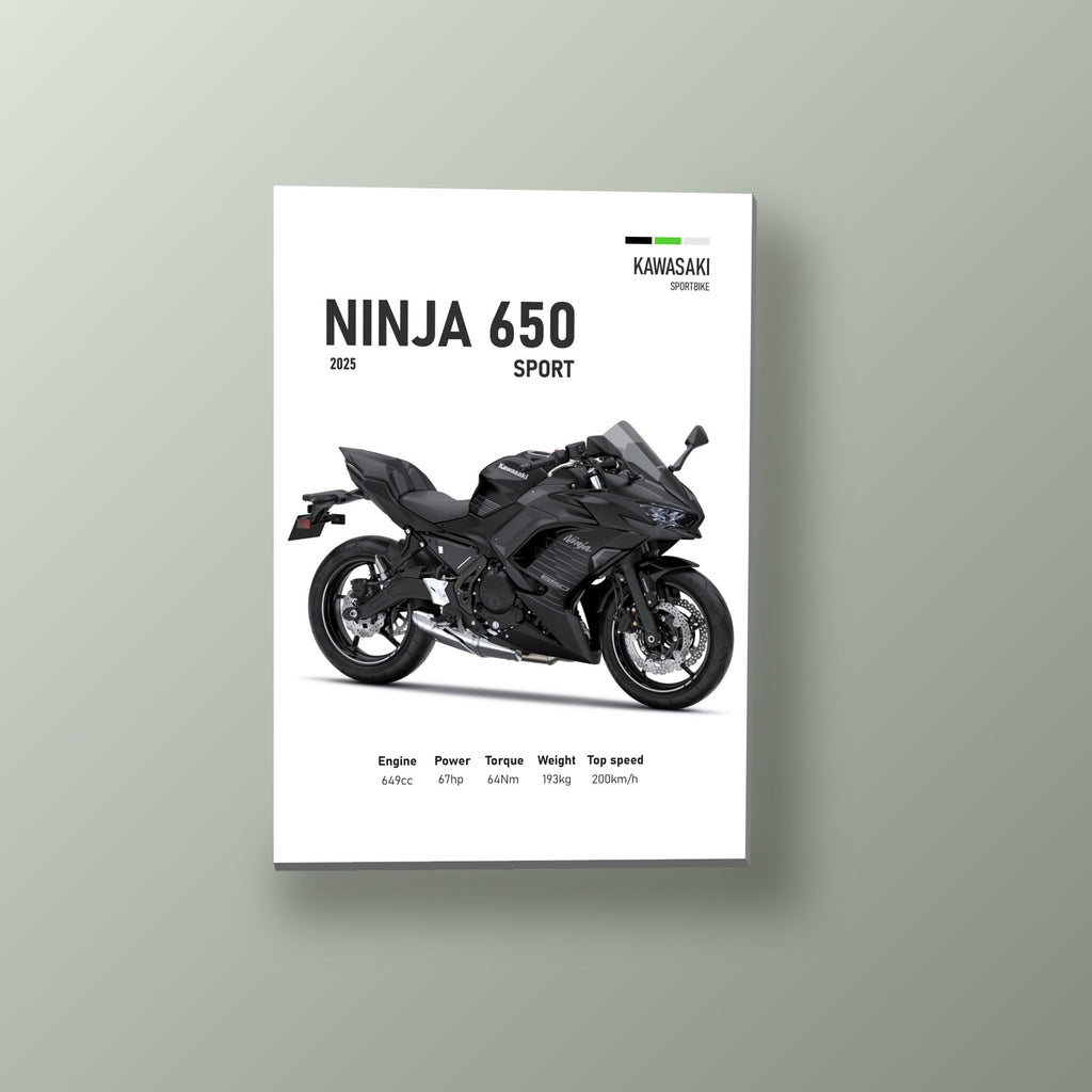 Ninja 650 Sport Negra | Cuadro decorativo de Monkey Canvas