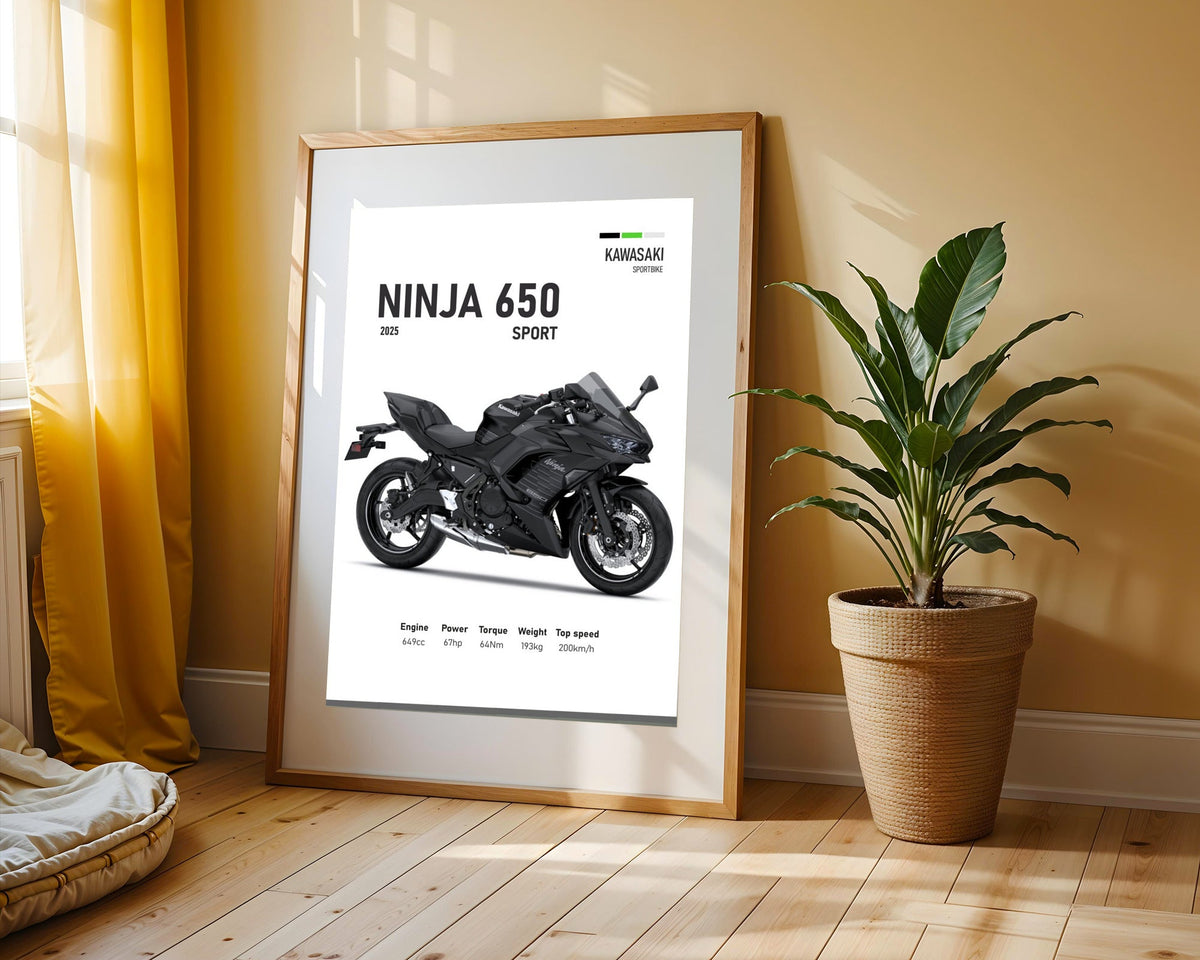 Ninja 650 Sport Negra