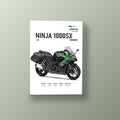 Ninja 1000SX Verde Racing | Cuadro decorativo de Monkey Canvas