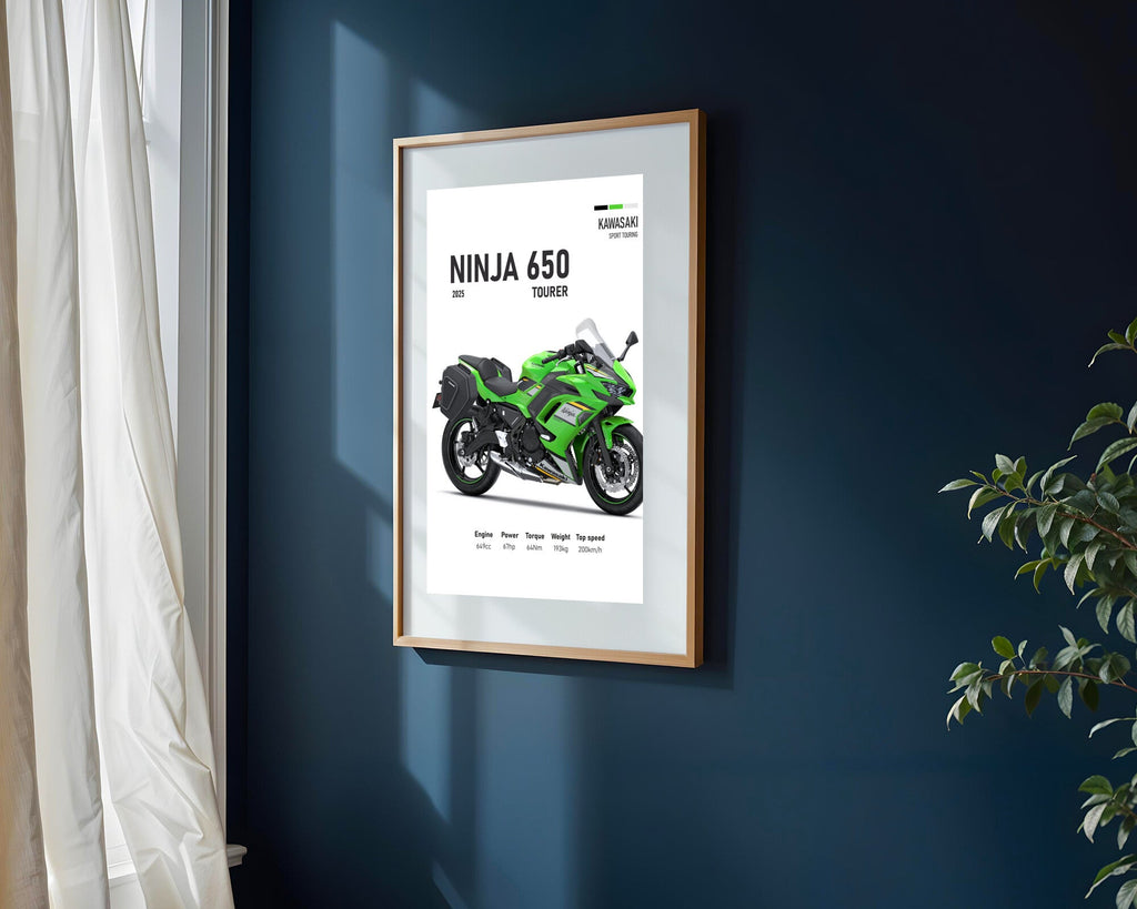 Ninja 650 Tourer Verde | Cuadro decorativo de Monkey Canvas