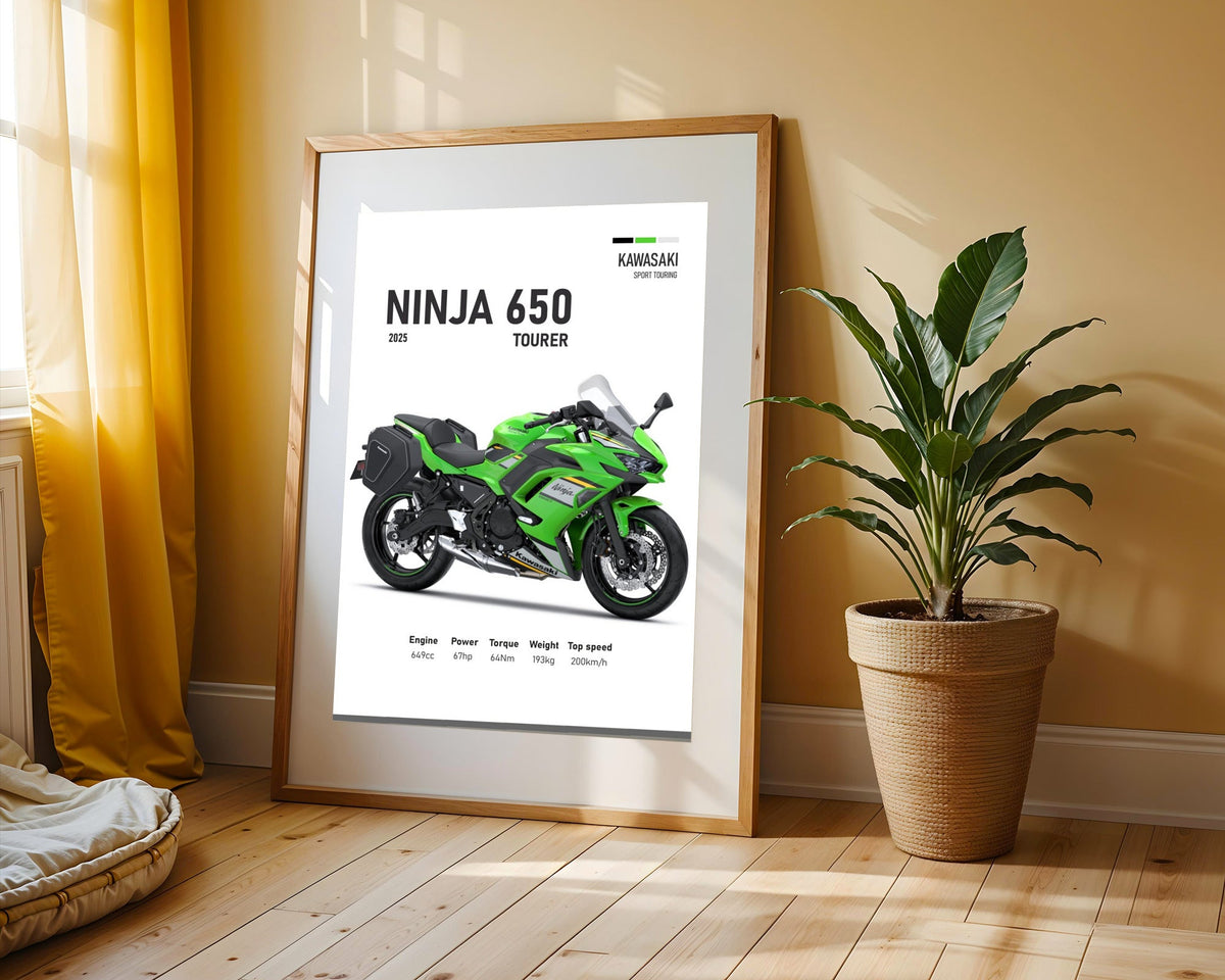 Ninja 650 Tourer Verde