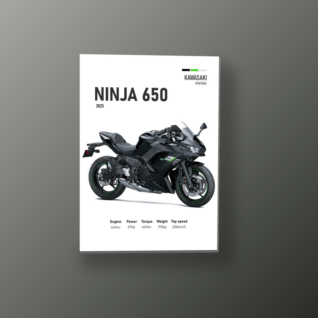 Ninja 650 Deportiva Negra | Cuadro decorativo de Monkey Canvas