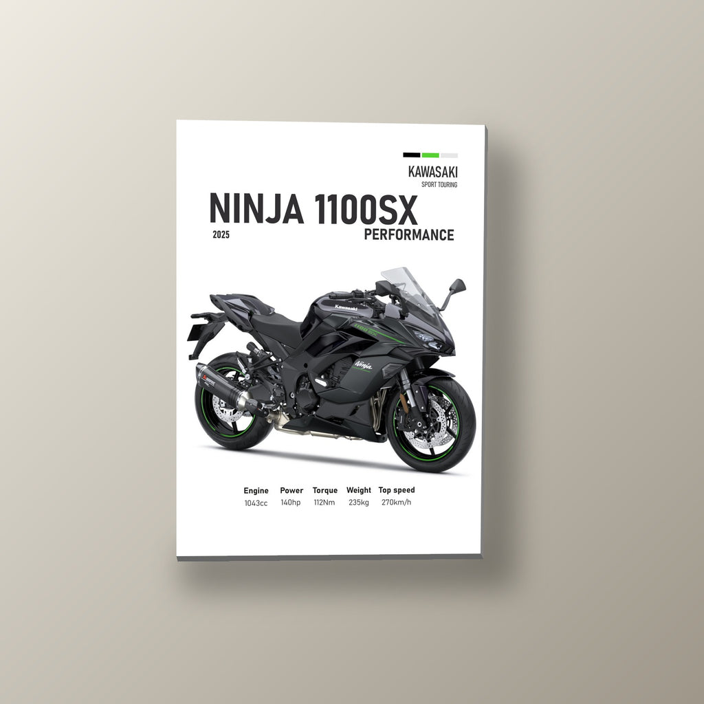 Ninja 1100SX Performance Gris | Cuadro decorativo de Monkey Canvas