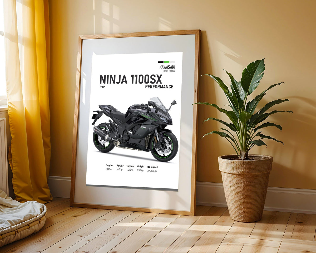 Ninja 1100SX Performance Gris
