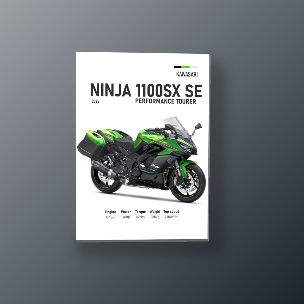 Ninja 1100SX SE Verde Metalico | Cuadro decorativo de Monkey Canvas